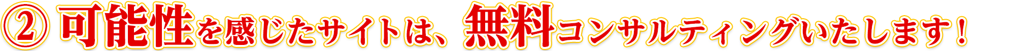 ②	1万ページビュー以上あれば、無料コンサルティングいたします！