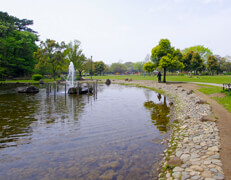 岩槻城址公園「じゃぶじゃぶ池」